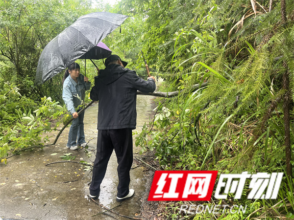 c2336a81531ee31808c0caba9119538_副本.jpg