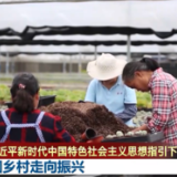 【在习近平新时代中国特色社会主义思想指引下】中国乡村走向振兴