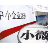 谢建辉：全力推进中小企业融资服务平台建设