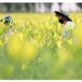 习近平山西行丨首站来到大同西坪镇