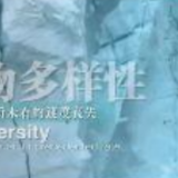 全球连线|重磅微视频：万物生