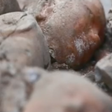 霸陵出土大量陶器印证汉文帝节俭