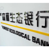 乡村振兴看一线 | 福建顺昌：推进“森林生态银行” 助力林农减负增收