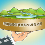 “十三五”期间我国新增湿地面积20.26万公顷