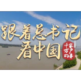 跟着总书记看中国｜青和居的大小事