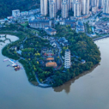 候鸟归湖畔 水清产业兴——重庆开州汉丰湖的“绿色故事”