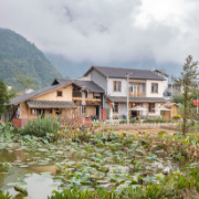 以习近平同志为核心的党中央引领推进新时代农业农村现代化事业述评