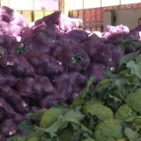 蔬菜上市量逐步增加 南方即将进入蔬菜生产旺季 市场蔬菜供应趋向宽松