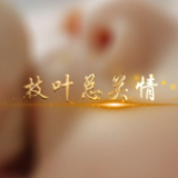 两会微视频 | 枝叶总关情