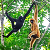 潮头观澜丨国家公园 生态之窗