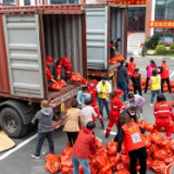 浙江长兴：4000份蔬菜瓜果驰援上海