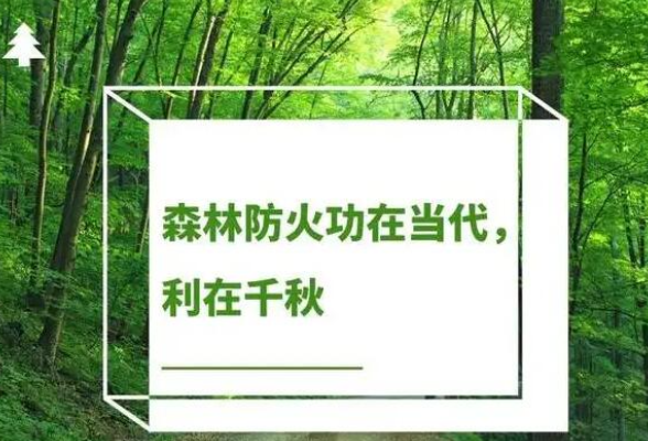 湖南发布第一号总林长令 进一步加强全省森林草原防灭火