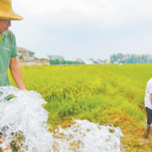 多部门多地区积极行动—— 保障生活生产用水 努力夺取秋粮丰收