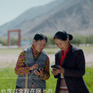 回眸税收这十年：高原办税缴费“最美天路”