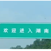 回家过年 我们为什么如此执着
