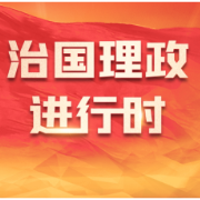 习近平同捷克总统泽曼举行视频会晤