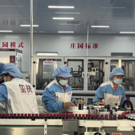 金融服务“量体裁衣”精准施策 让“小枸杞”成为“大产业”