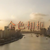 金色相框丨习近平上海之行
