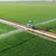 节令之美·春分丨春色正中分,莫负好时光