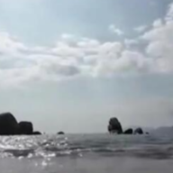 游客潜水自拍称被收三百元取景费，旅游局回应可投诉