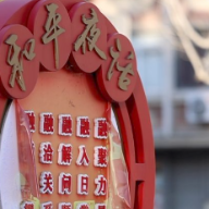五集政论片《中国的民主》第三集《人民的智慧》