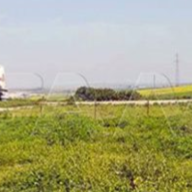 美军出动33辆车盗运叙利亚石油 持续掠夺资源被斥“土匪行为”