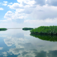 全国生态环境保护大会再次召开,习近平强调了什么?