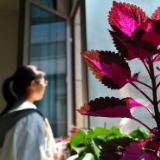 民生直通车丨呵护孩子心理健康 警惕青少年抑郁症