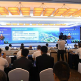 中国—东盟加强物流合作 推动高水平共建陆海新通道