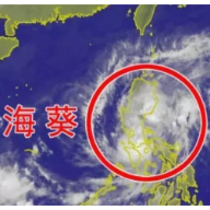 张迎春：狠抓预警确保“四早”，以万全准备应对“万一”