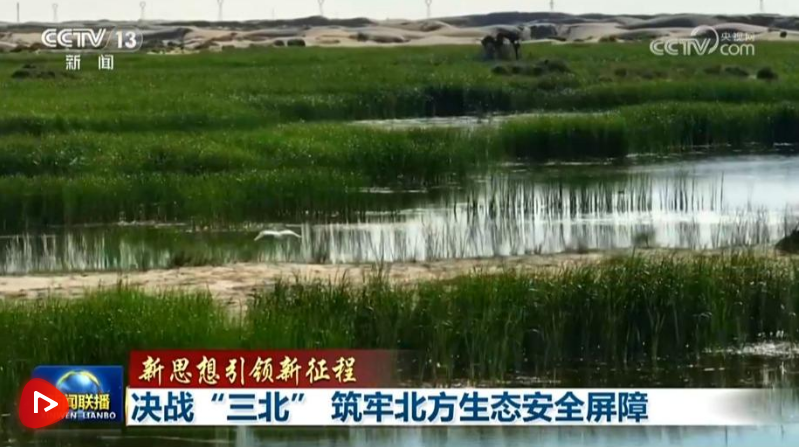QQ截图20240607083149.png