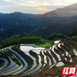 江西遂川：让 “好田景”带来“好光景”