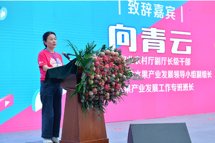 贵州水果“贵”在哪里？“双果”丰收节给你答案