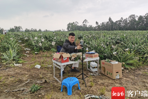 海南网红达人诞生记⑤丨从娱乐主播到水果电商 “唐山泡泡龙”想让海南水果甜遍全国