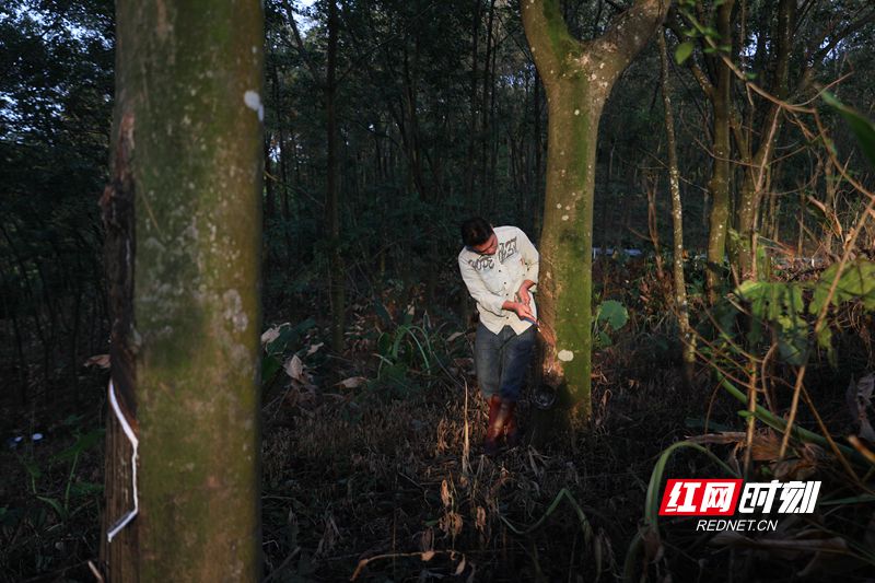 45_副本.jpg 45_副本.jpg