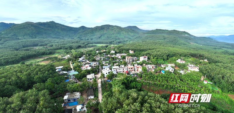 77_副本.jpg 77_副本.jpg