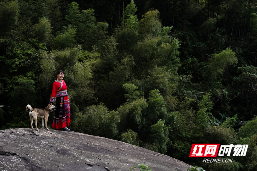 图片8.jpg 图片8.jpg