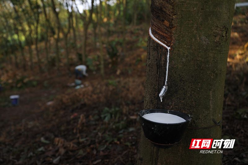 2_副本.jpg 2_副本.jpg