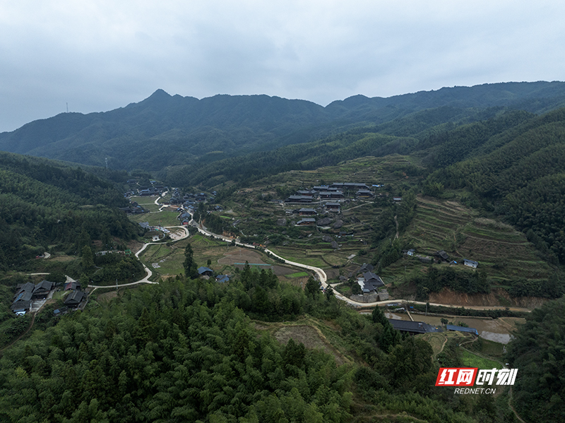 图片4.jpg 图片4.jpg