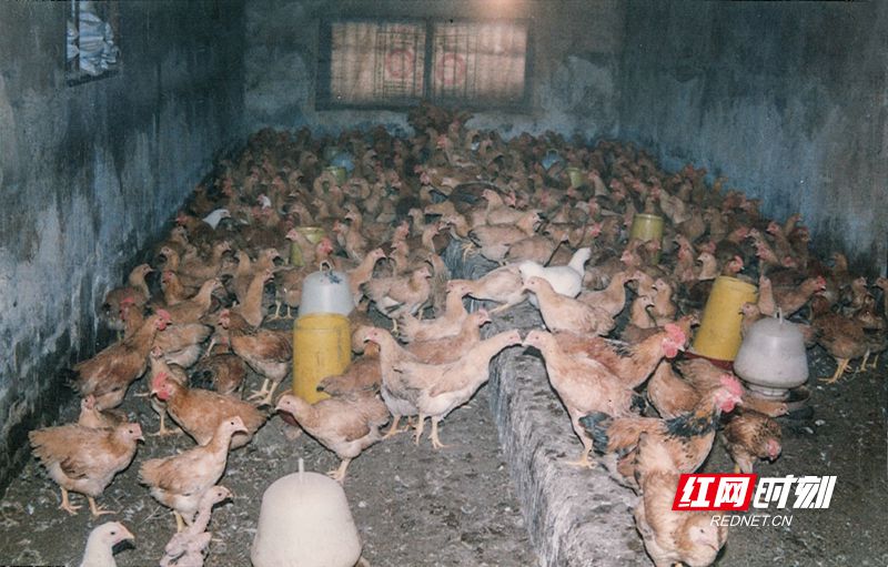 创业初期 (2)_副本.jpg 创业初期 (2)_副本.jpg