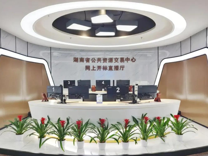 观潮的螃蟹 | 数字湖南建设的“大”逻辑