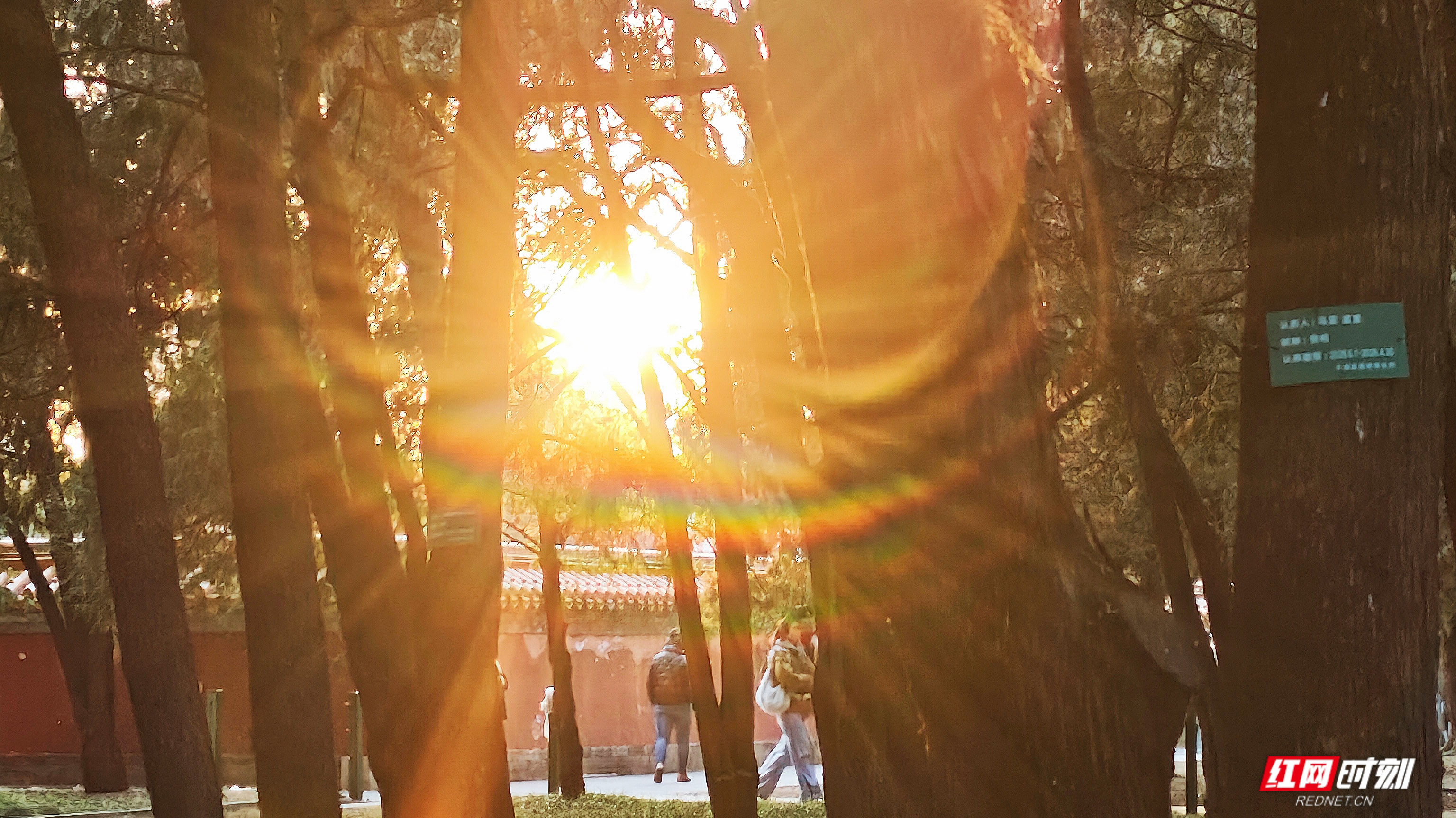 微信图片_20260404195955_1787_2291.jpg 微信图片_20260404195955_1787_2291.jpg