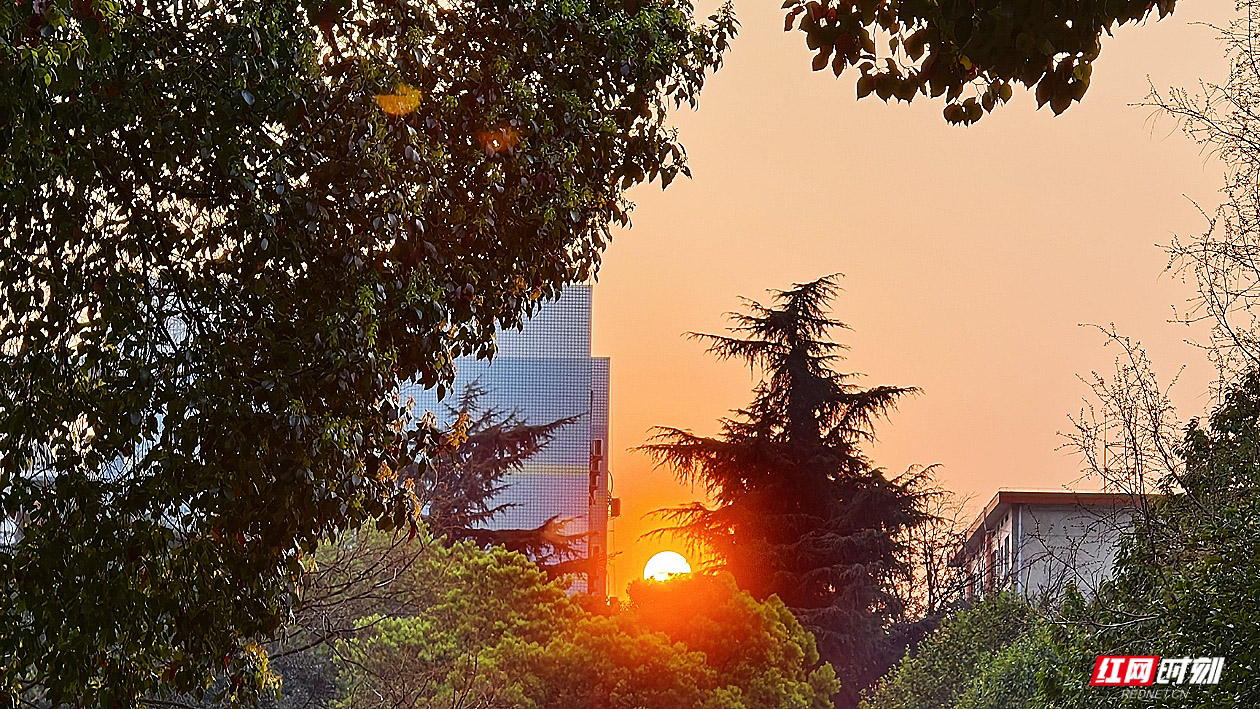 微信图片_20260404195949_1784_2291.jpg 微信图片_20260404195949_1784_2291.jpg