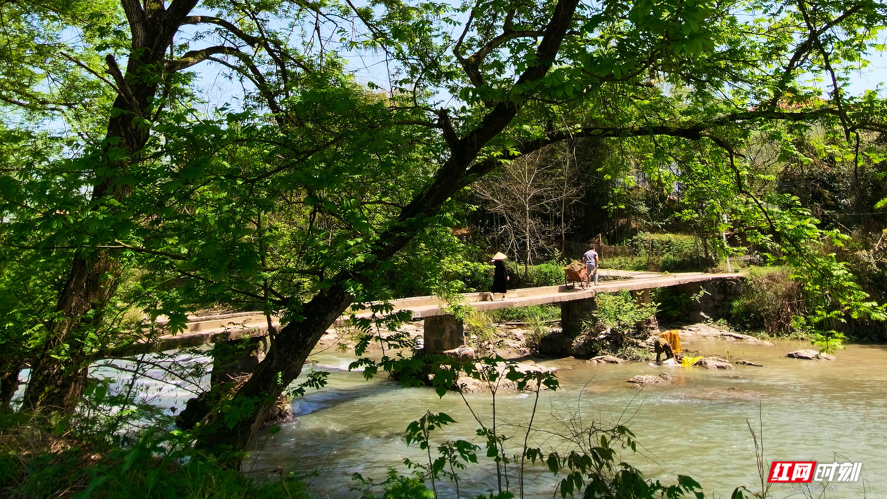 微信图片_20260404195943_1780_2291.jpg 微信图片_20260404195943_1780_2291.jpg