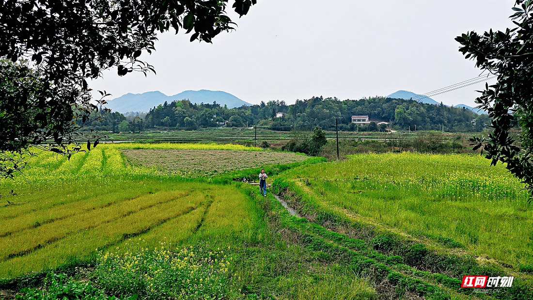 微信图片_20260404200005_1793_2291.jpg 微信图片_20260404200005_1793_2291.jpg