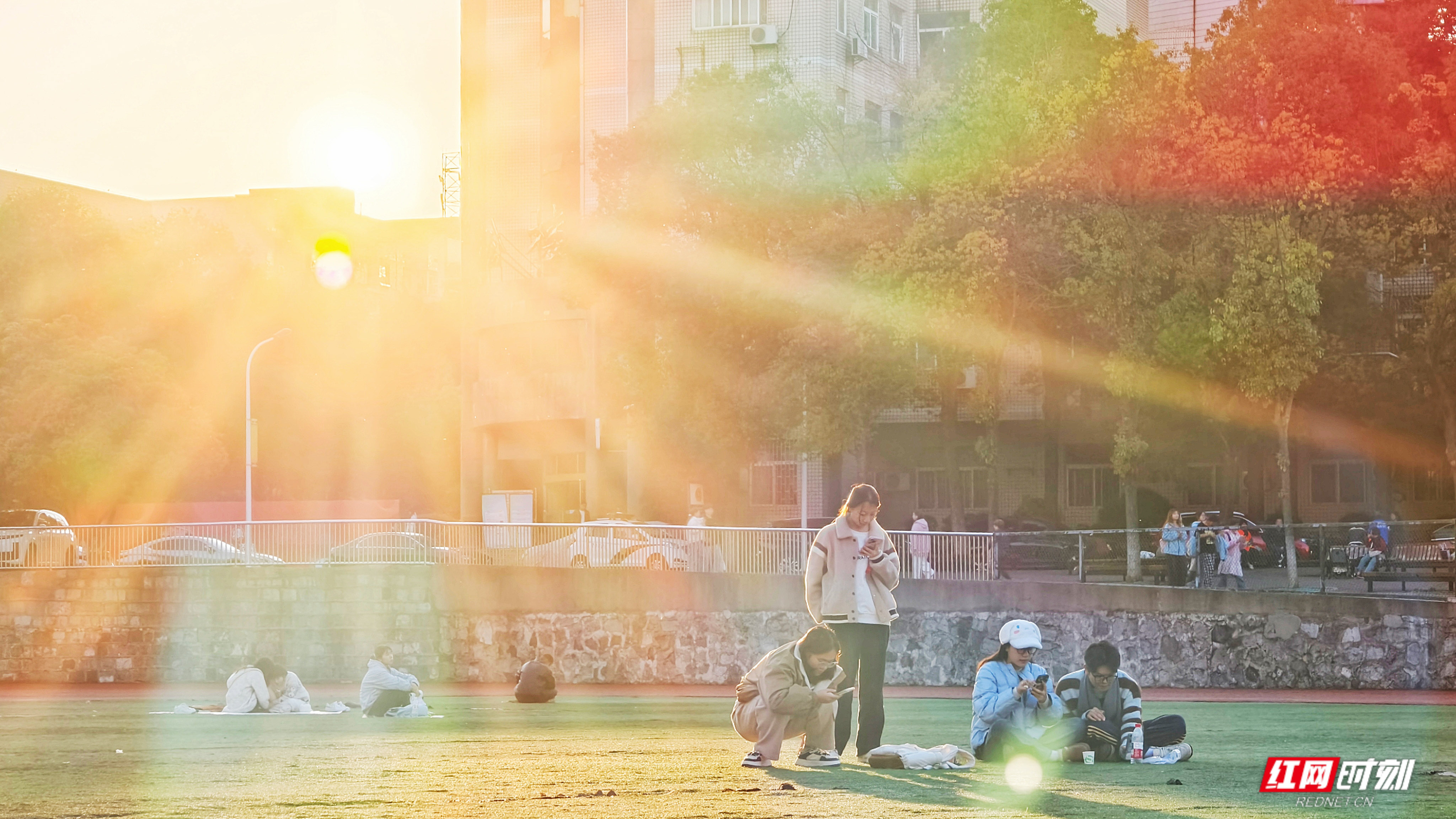 微信图片_20260404195952_1785_2291.jpg 微信图片_20260404195952_1785_2291.jpg