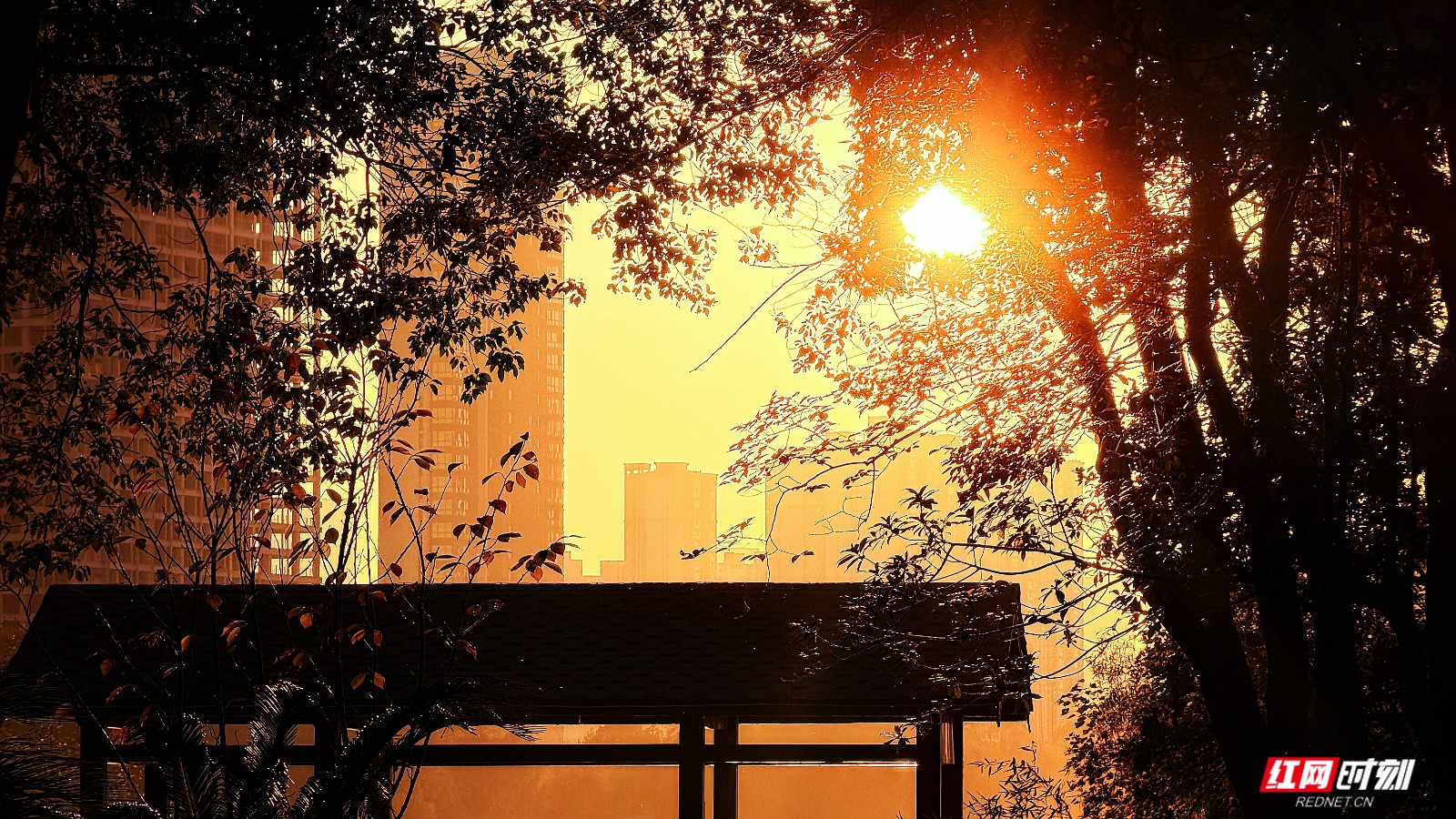 微信图片_20260404195957_1788_2291.jpg 微信图片_20260404195957_1788_2291.jpg