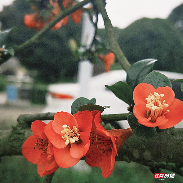 微信图片_20260405201845_1824_2291.jpg 微信图片_20260405201845_1824_2291.jpg