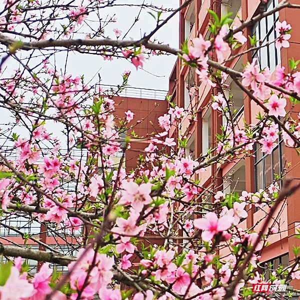 微信图片_20260405201842_1819_2291.jpg 微信图片_20260405201842_1819_2291.jpg