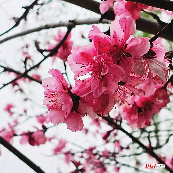 微信图片_20260405201848_1828_2291.jpg 微信图片_20260405201848_1828_2291.jpg